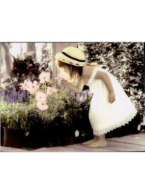 6-Pk VTG Leanin’‎ Tree Birthday Cards STOP & SMELL THE FLOWERS Kathleen Francour